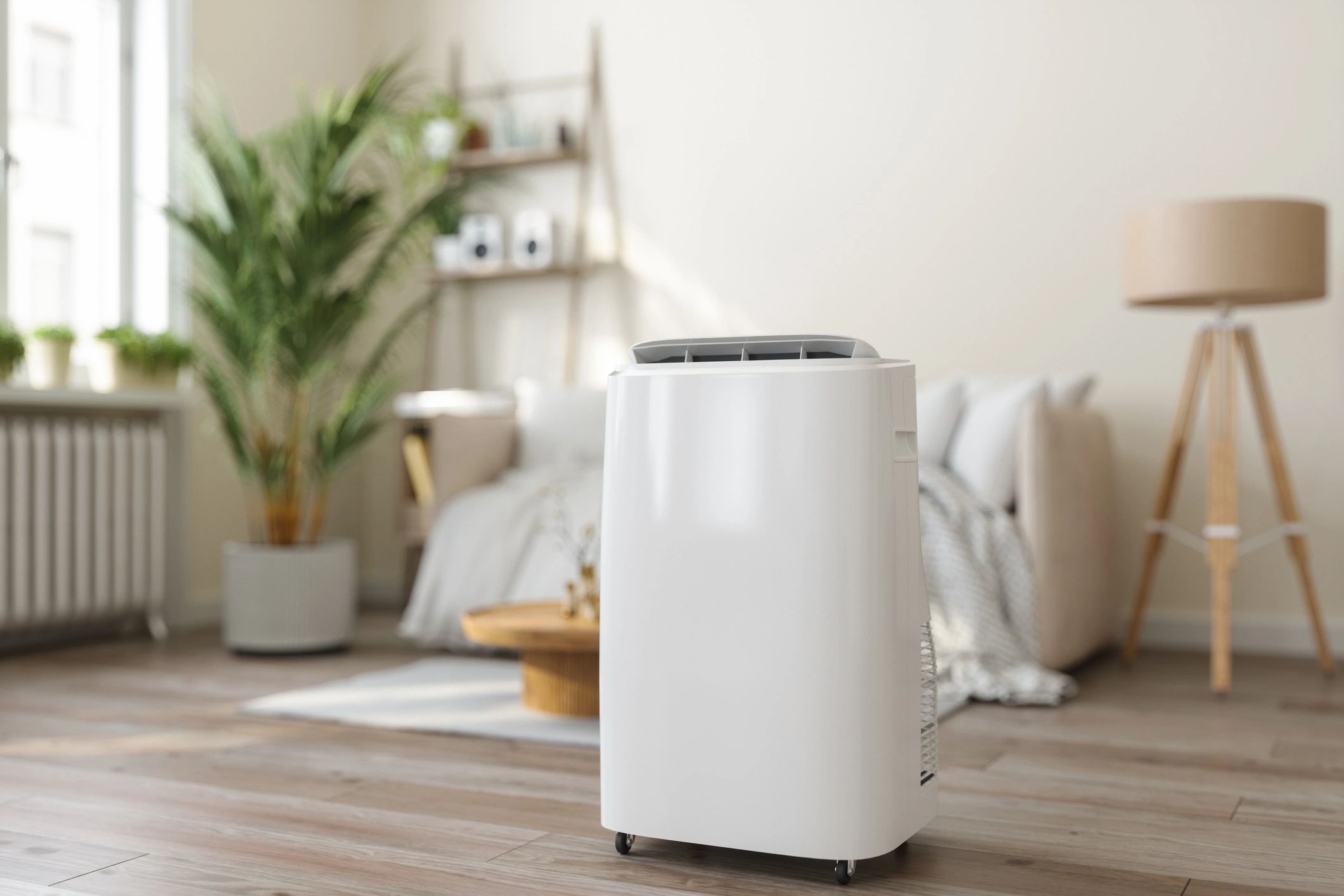 Portable backup power device in a home setting
